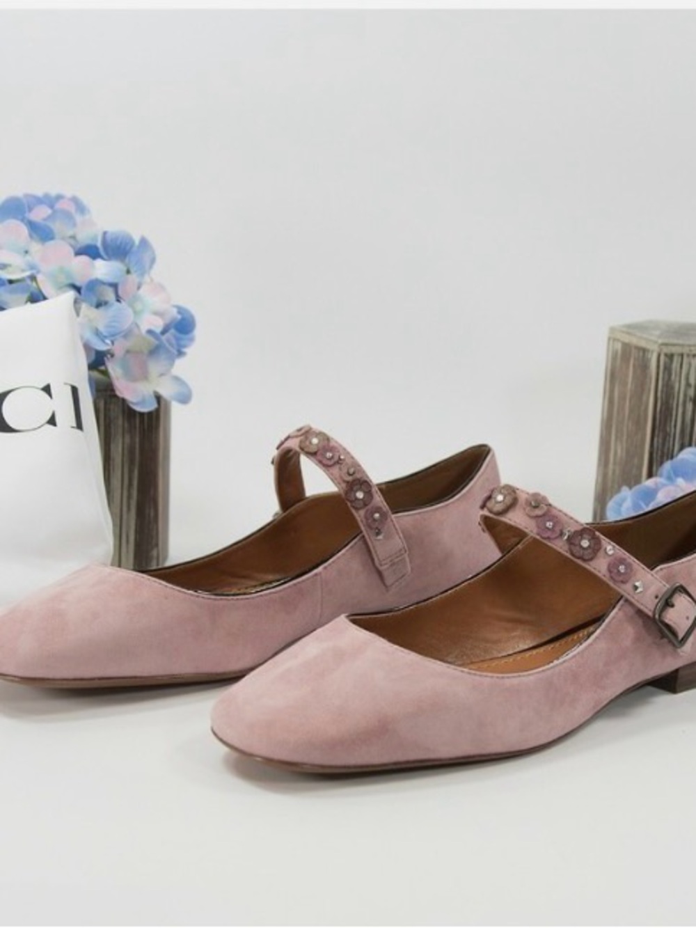 Coach Dusty Pink Suede Mary Jane Flats with Studded Strap